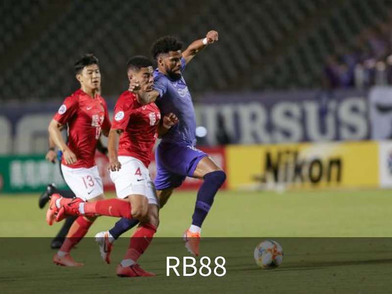 了解RB88